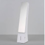Настольная лампа Elektrostandard TL90450 Desk белый/серебряный 4690389111532