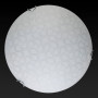 Настенно-потолочный светодиодный светильник Toplight Christina TL9520Y-00WH