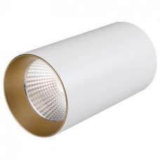 Накладной светильник Arlight Sp-polo-r85 SP-POLO-R85-1-15W Day White 40deg (White, Gold Ring)