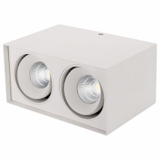 Накладной светильник Arlight Sp-cubus SP-CUBUS-S100x200WH-2x11W Day White 40deg