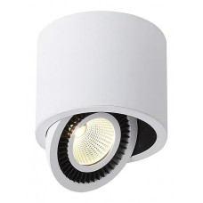 Накладной светильник DL18700/11WW-White Dim