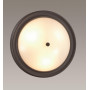 Настенно-потолочный светильник Lumion Vintage Nina 5260/3C